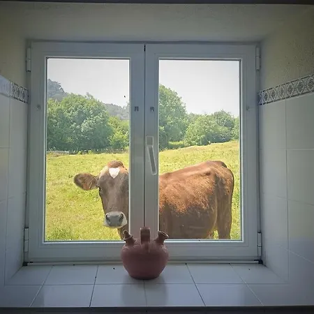 Casona Pico Candiano